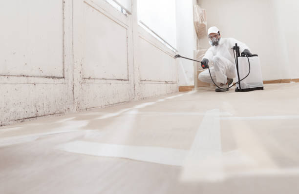 24/7 Emergency Mold Inspection experts in West Chicago, IL