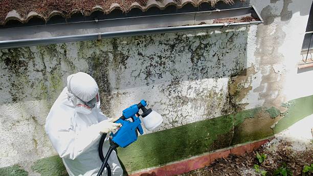 Trusted Mold Inspection service in West Chicago, IL - Cheap Mold Removal